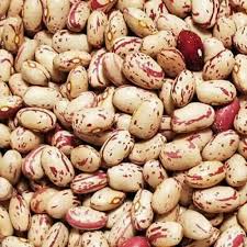 فله حبوبات لوبیا چیتی ایرانی