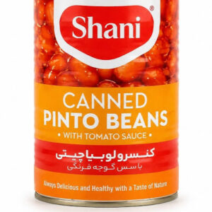 شانی کنسرو لوبیا چیتی370گ